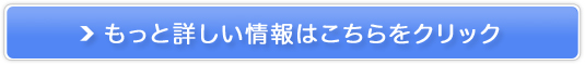LTZACCyp[b`Vv[RfBVi[z̔TCg